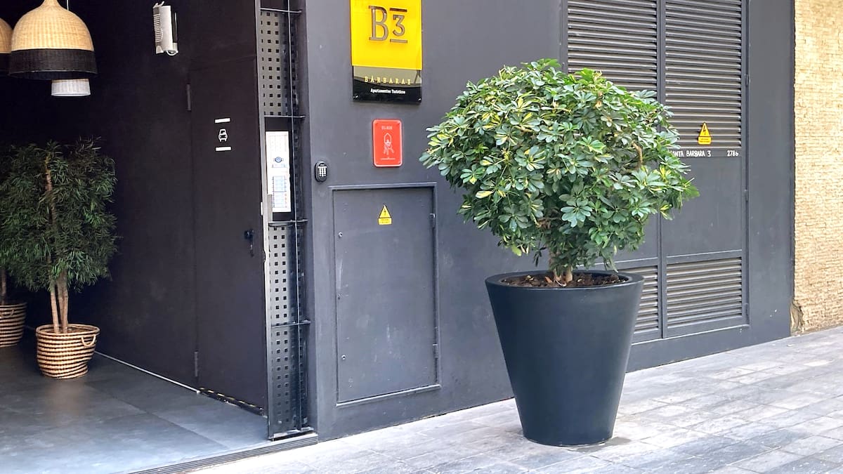 La Columna de Carlos Arcaya: «El “explosivo” incremento de viviendas turísticas»