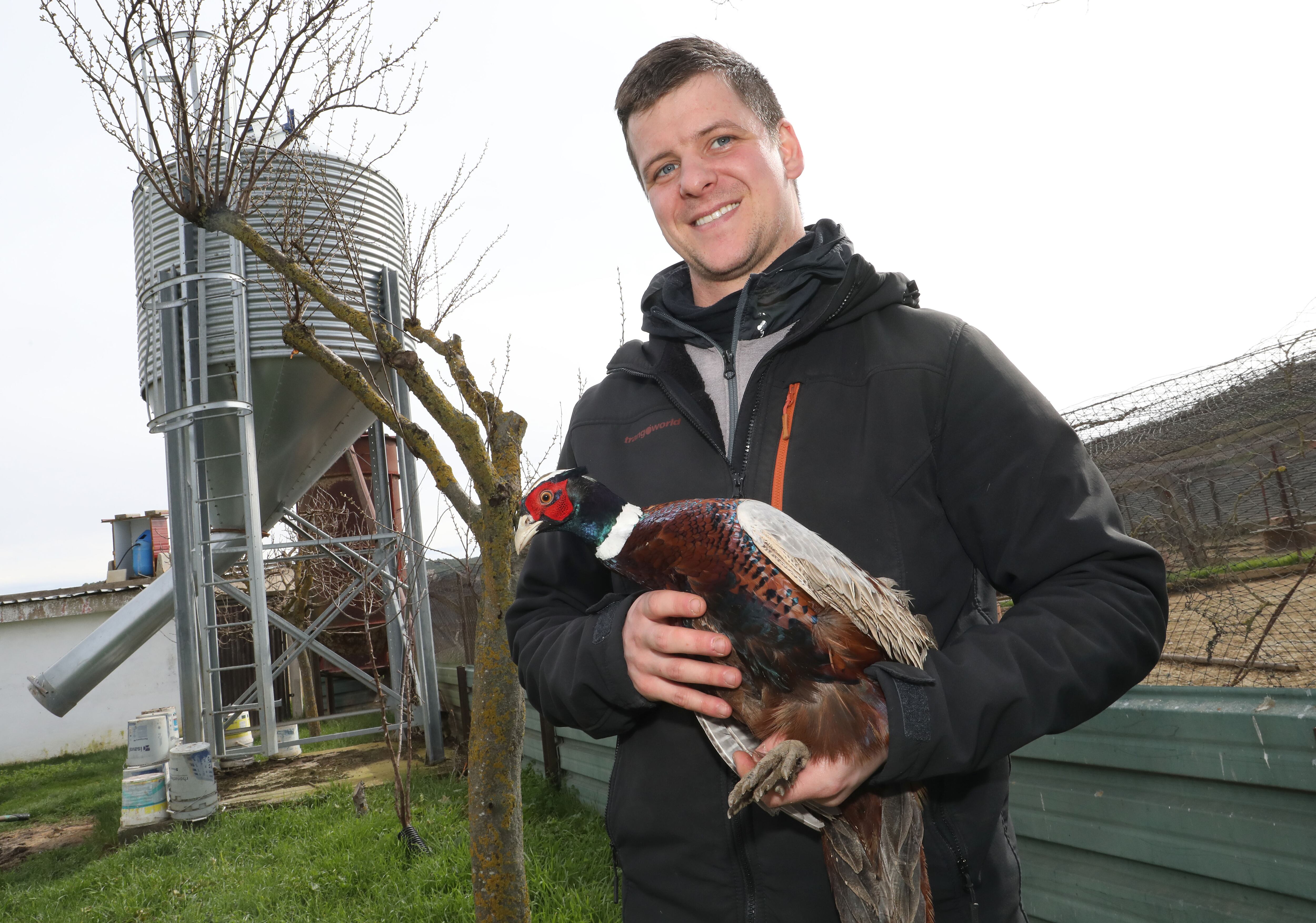 Granja de faisanes de Jaime del Amo en Santoyo (Palencia)