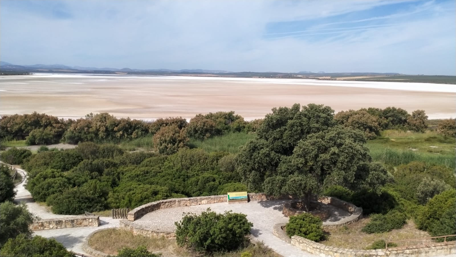 Estado actual de la laguna de Fuente de Piedra