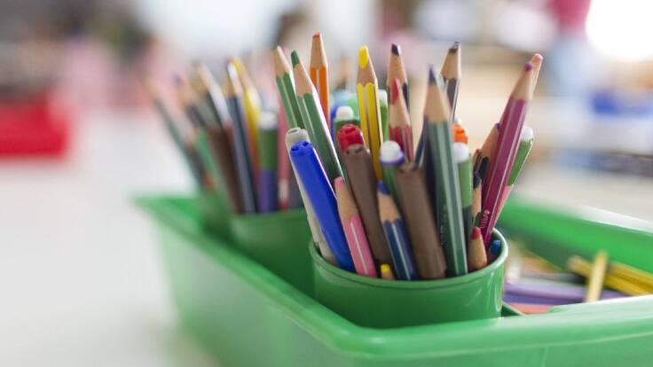 Entrevista a Alicia Tojeiro, mejor docente de España en educación primaria y profesora en el CEIP Plurilingüe Isidro Parga Pondal de Santa Cruz (15/1/2021)