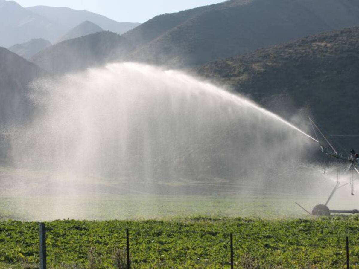 "El regadío traerá mayor producción, calidad y empleo"