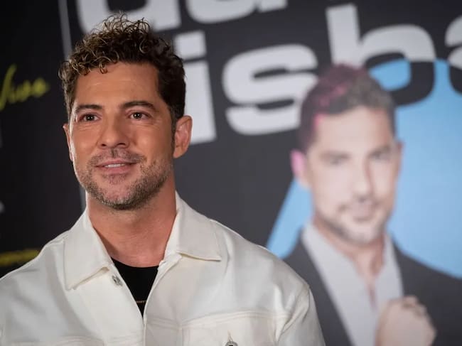 David Bisbal.