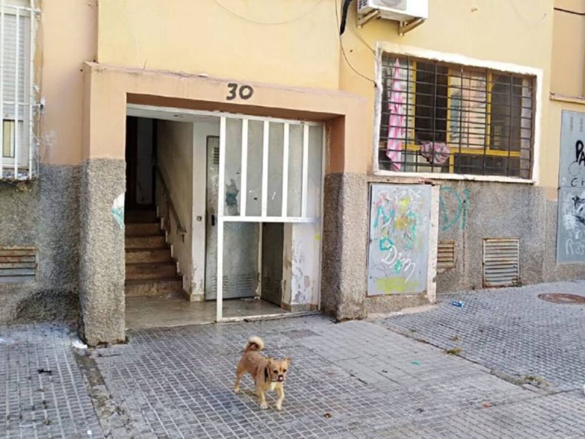 Podemos Elx denuncia engaño y dejación urbanística en los Palmerales