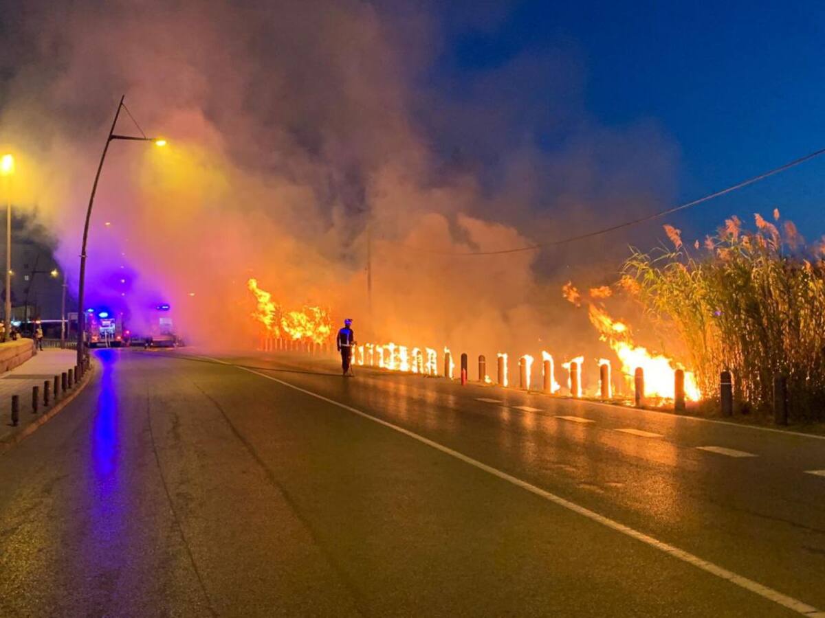 El incendio en Ses Feixes podría ser provocado