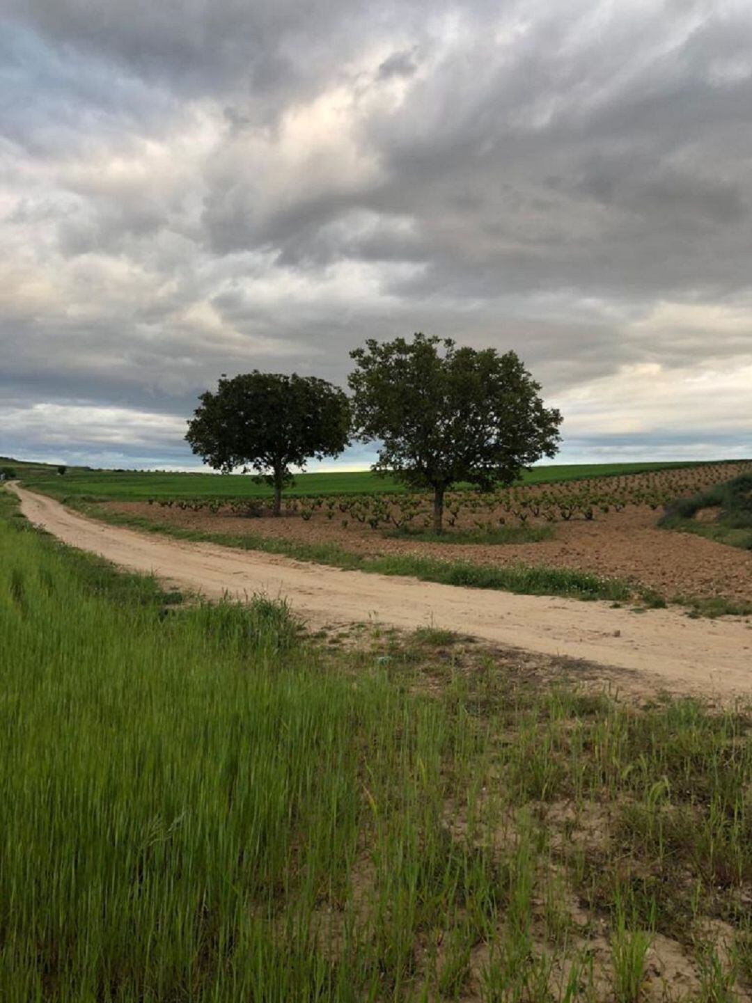 Paraje del Camino de la Cruz