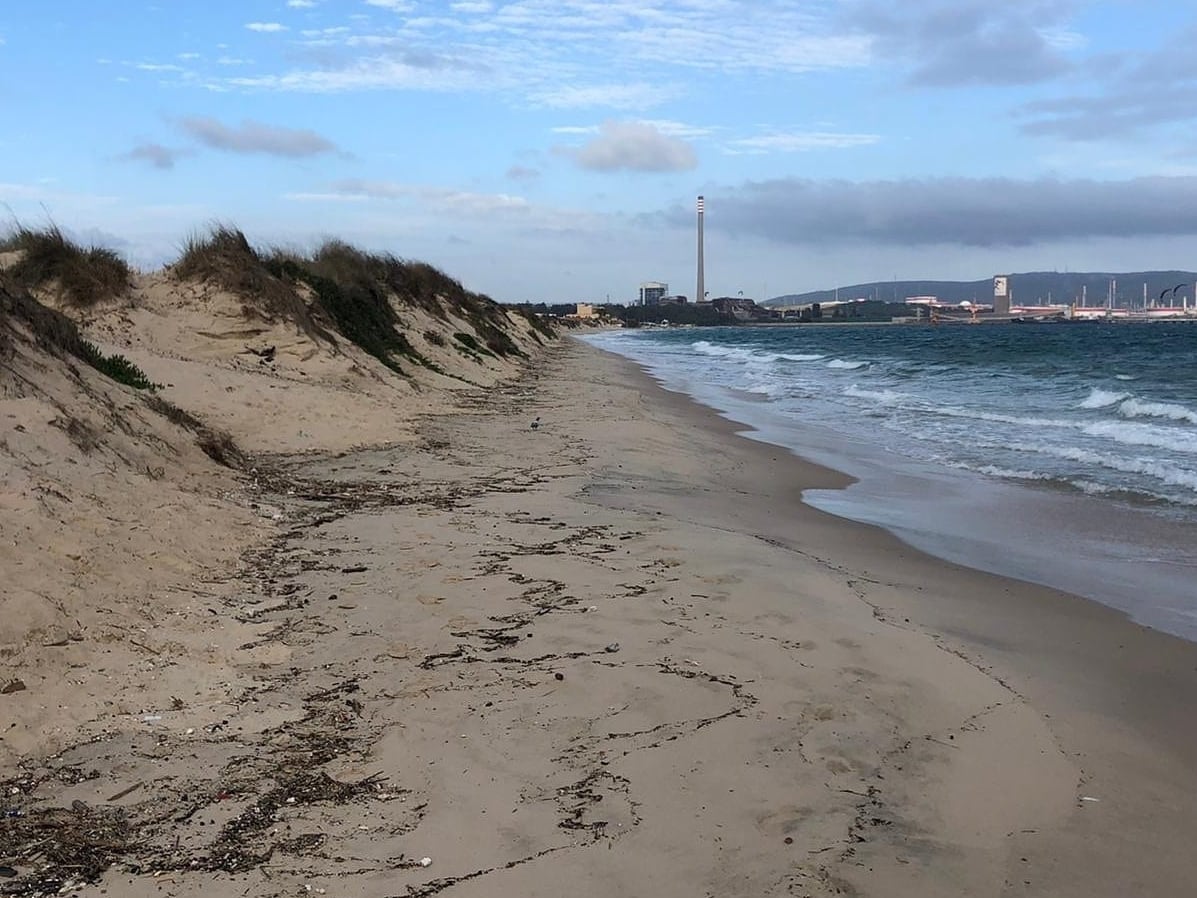 Imagen de la zona dunar de El Rinconcillo