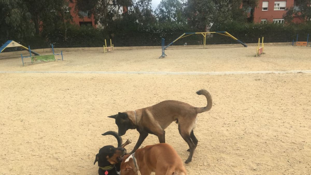 PARQUE CANINO ALGECIRAS