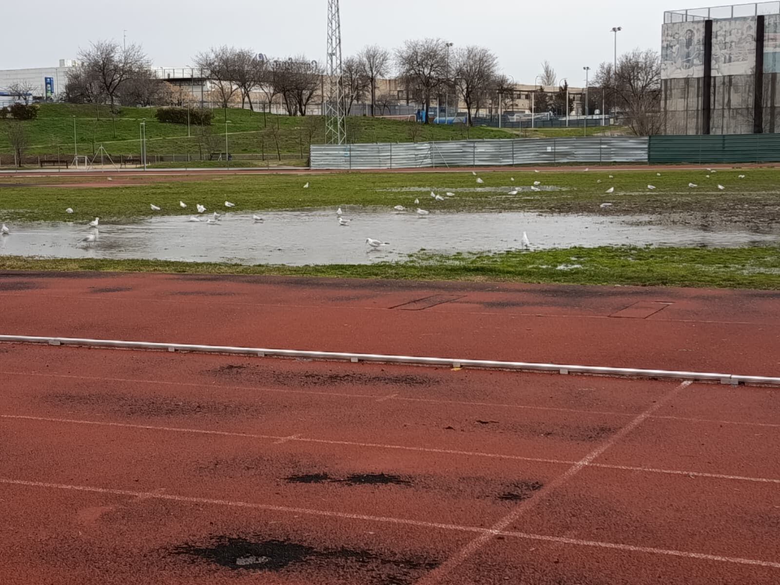 Situación del campo de Rugby