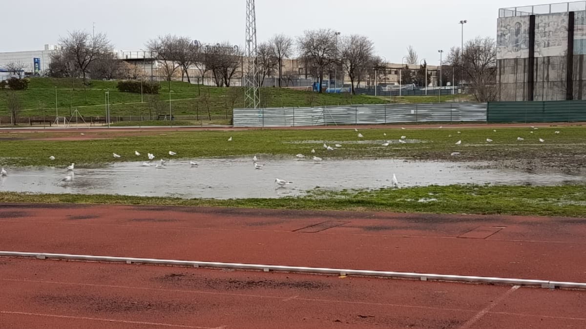 Barro, frío y vestuarios precarios: las familias del rugby de Móstoles reclaman una solución urgente al Ayuntamiento