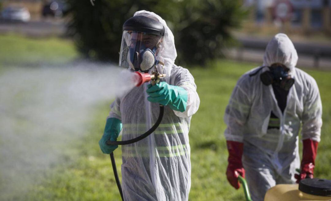 Dos trabajadores durante las labores de fumigación contra los mosquitos causantes del virus del Nilo en la provincia de Sevilla