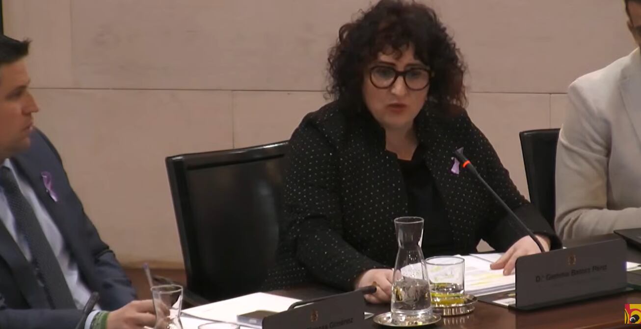 Gemma Betorz, viceportavoz socialista en la institución provincial durante su intervención en el pleno.