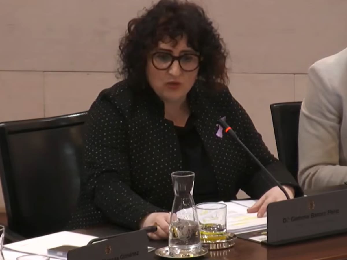 La DPH paraliza la aprobación del Plan de Energía para adaptarlo a las consecuencias de la guerra en Oriente Medio