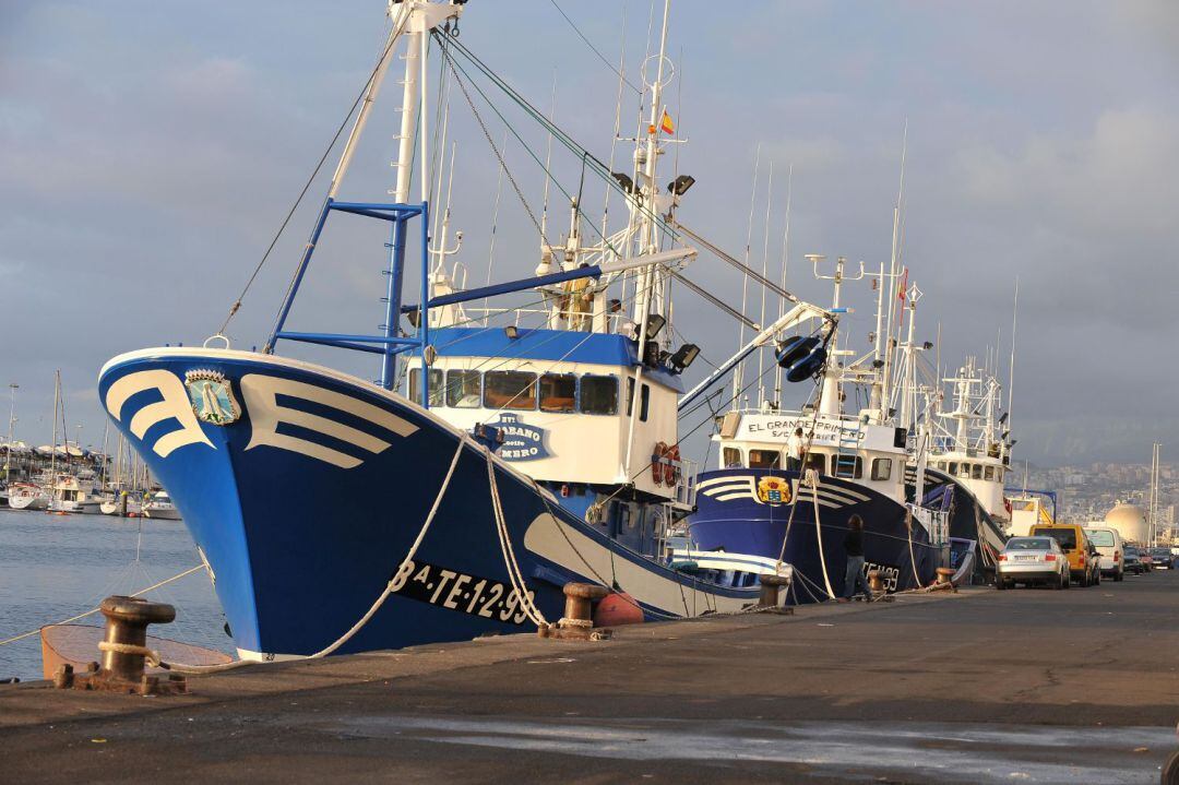 Los hehcos se registraron en la Dársena Pesquera de Santa Cruz de Tenerife. 