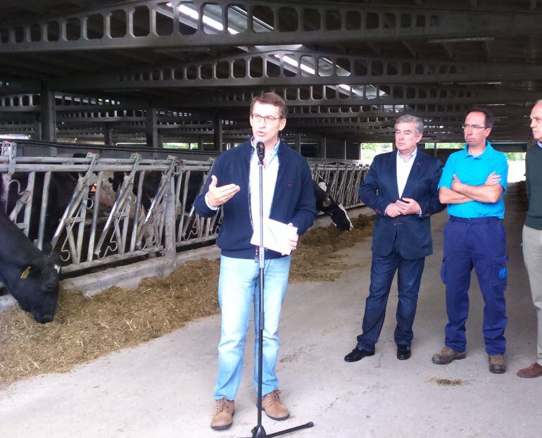 El presidente de la Xunta, Alberto Núñez Feijoo, en campaña electoral en una explotación ganadera de Lugo