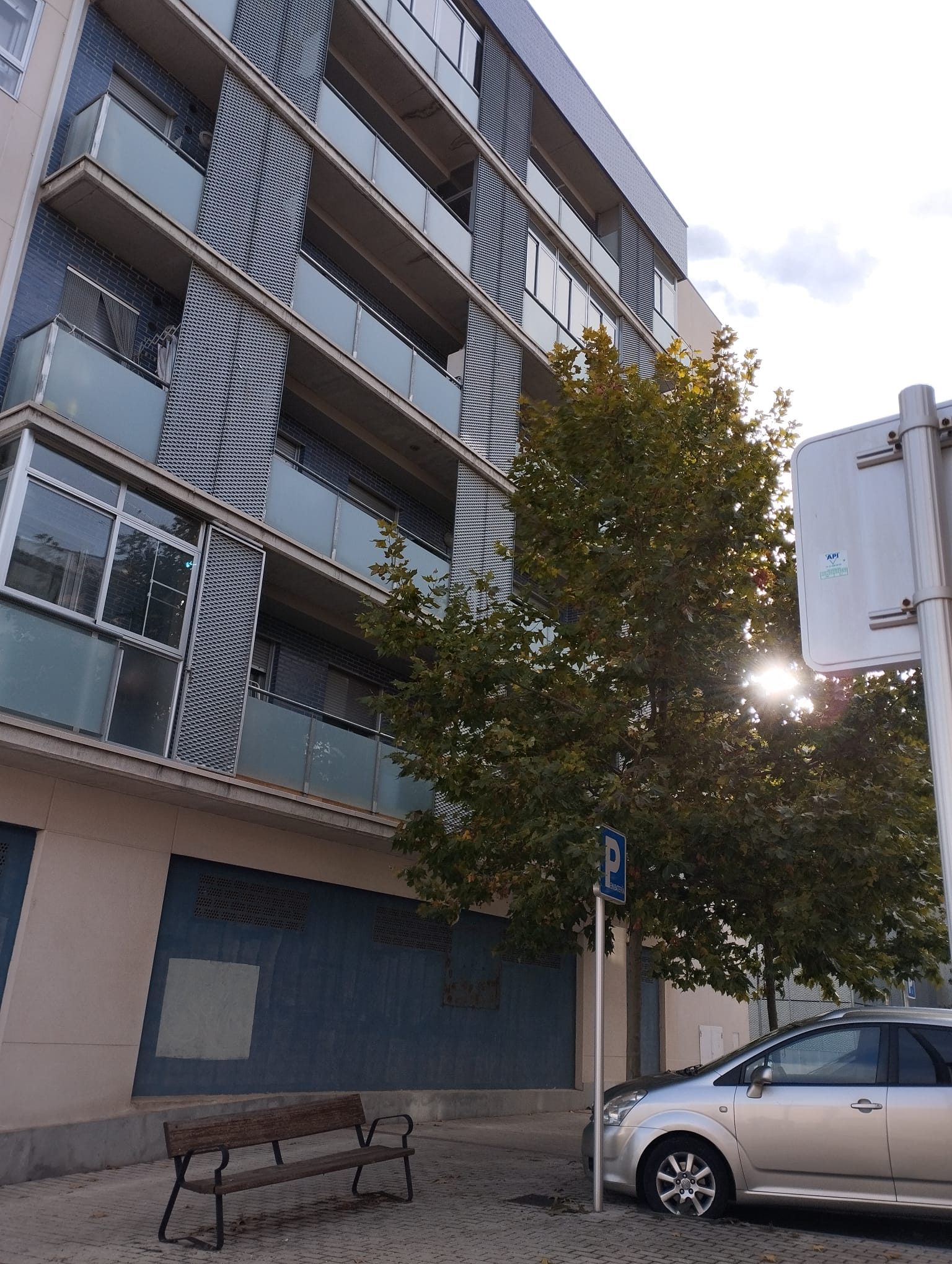 Ramas de árboles en la calle Banderas de Castilla que llegan a los balcones del edificio