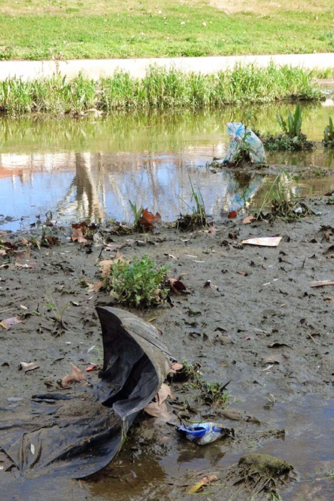 Residuos y basuras en el Albarregas a su paso por Mérida