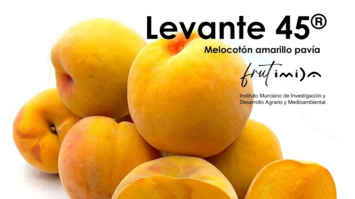 Entrevista el investigador del IMIDA, José Cos, sobre la mejora genética de los frutales