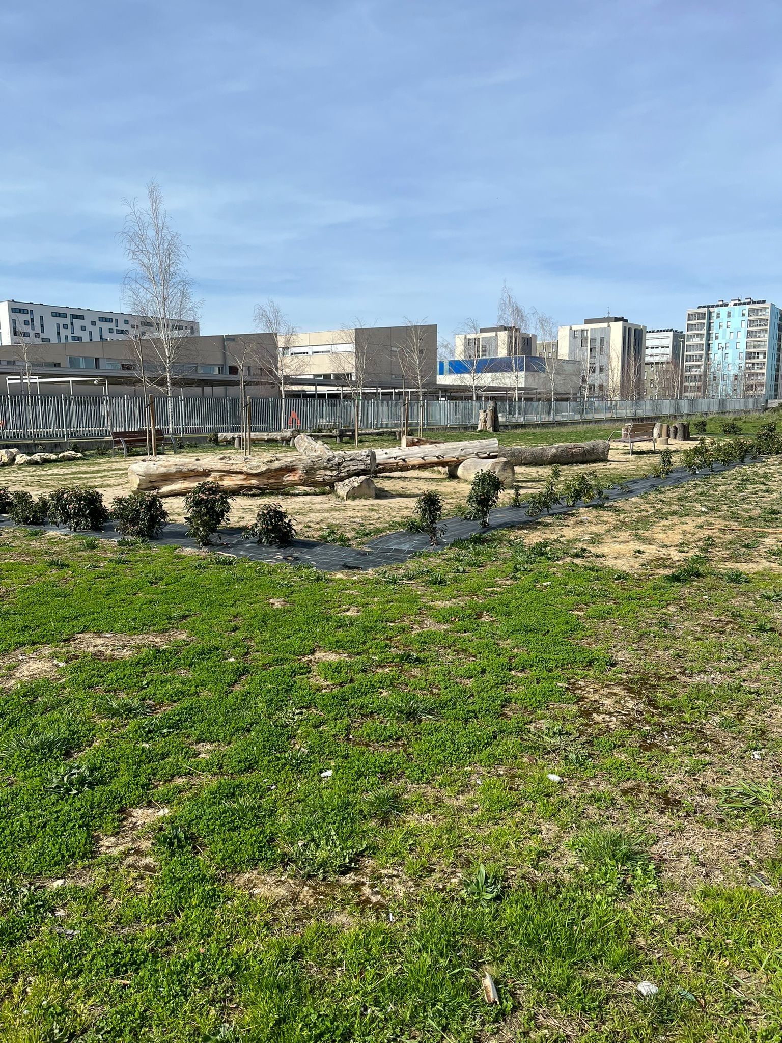 El &#039;parque de los troncos&#039; de Zabalgana sobre el que el Ayuntamiento de Vitoria ha proyectado una carretera