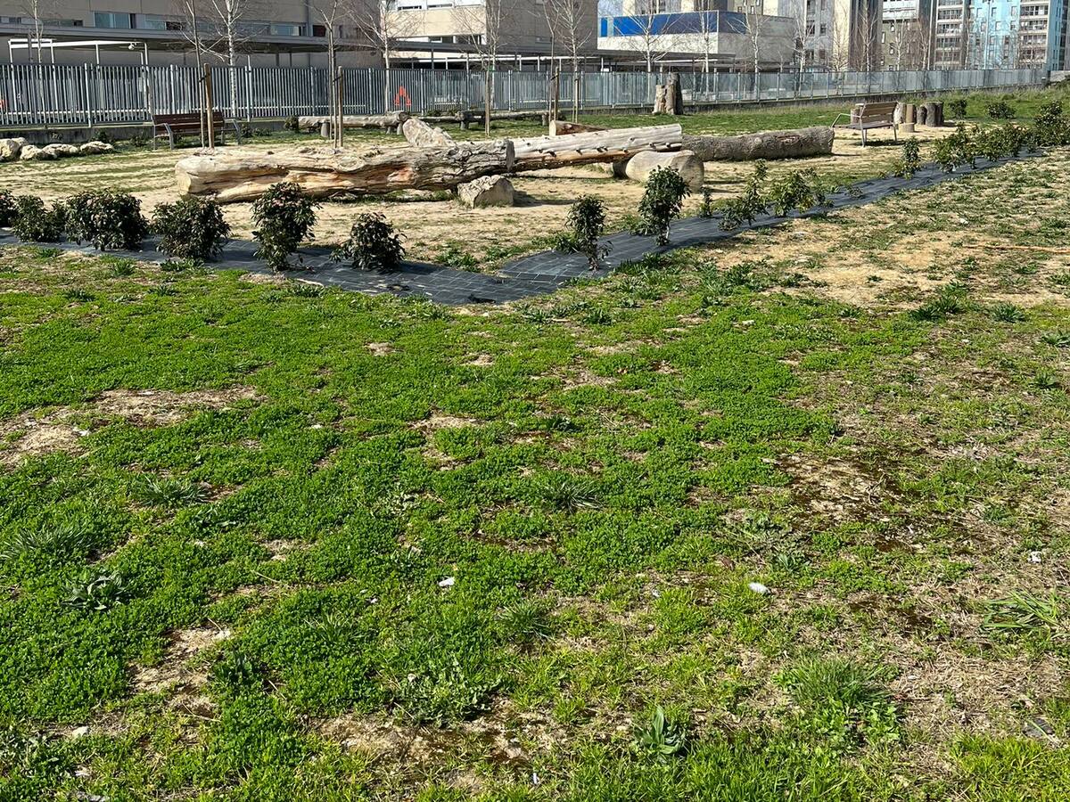 El Plan General elimina el 'parque de los troncos' de Zabalgana y prevé una carretera entre el colegio y la haurreskola