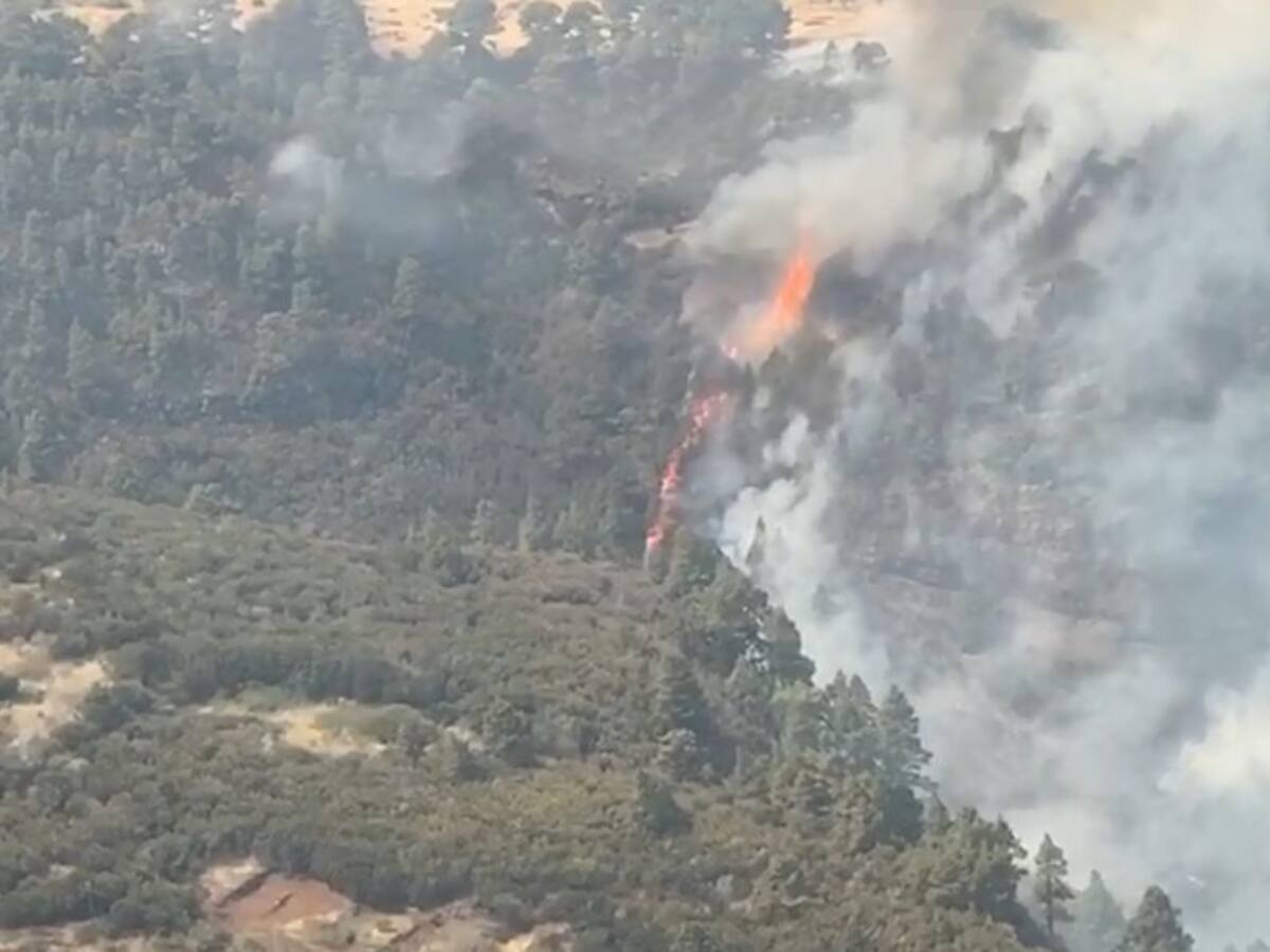 El incendio de Garafía arrasa más de 300 hectáreas y depende del viento