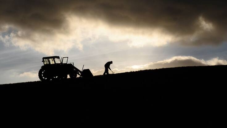 La Columna de Carlos Arcaya | ¡Con lo que hay que doblar el espinazo en el campo! | 28/11/2019