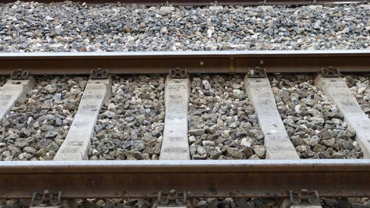 COMENZAMOS EL AÑO SIN TREN