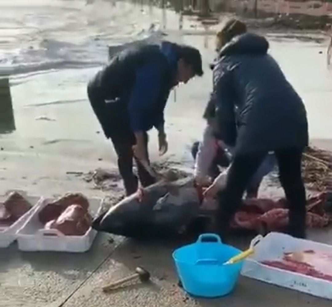 Descuartizando un atún en el paseo marítimo de L&#039;Ampolla (Tarragona).