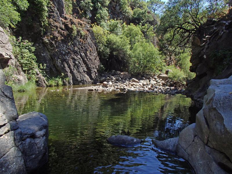 Charca de la Extranjera del Río Padrón de Estepona (Málaga) en una imagen de archivo