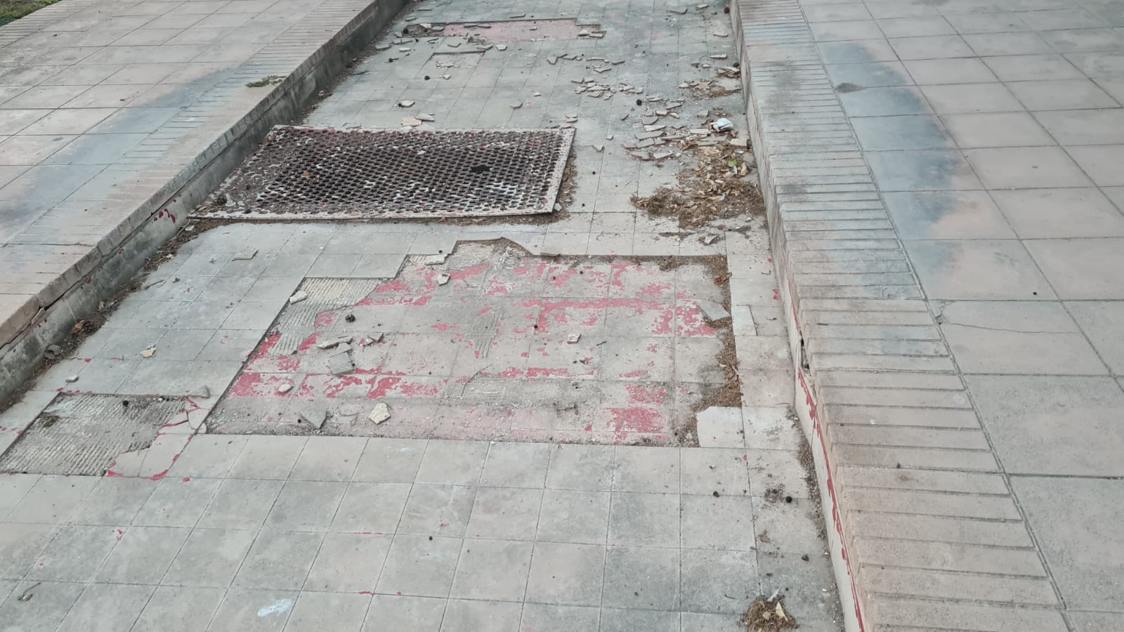 Desperfectos en el Jardín del Túria de València.