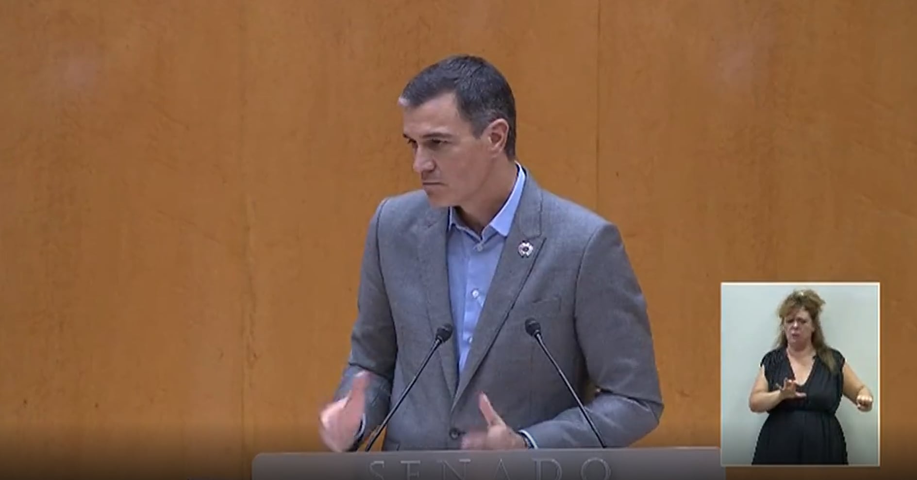 El presidente del Gobierno, Pedro Sánchez, se dirige a un dirigente popular que le ha interrumpido durante su discurso en el Senado.