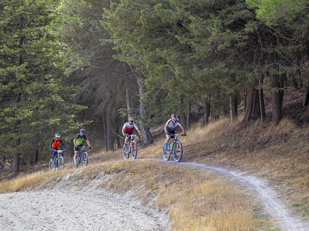 Villamuriel de Cerrato acoge la última prueba del Circuito de Triatlón “Diputación de Palencia”