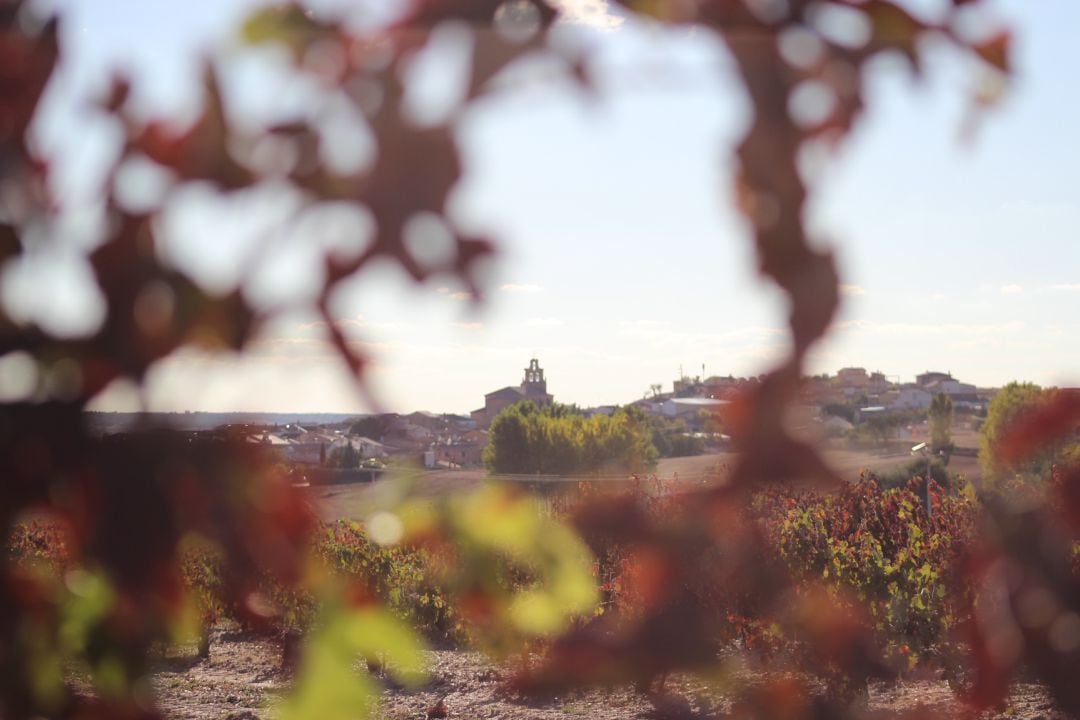 Villalba de Duero a través de los viñedos que rodean la localidad