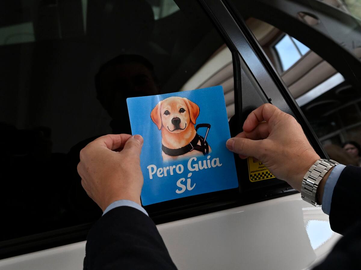 Los usuarios invidentes con perros guía tienen ya preferencia en el uso de casi 300 taxis de Murcia