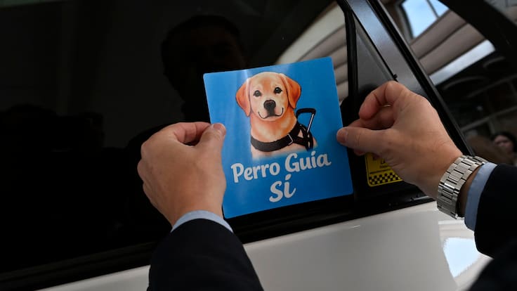 La ONCE alza la voz en el Día Internacional del Perro Guía
