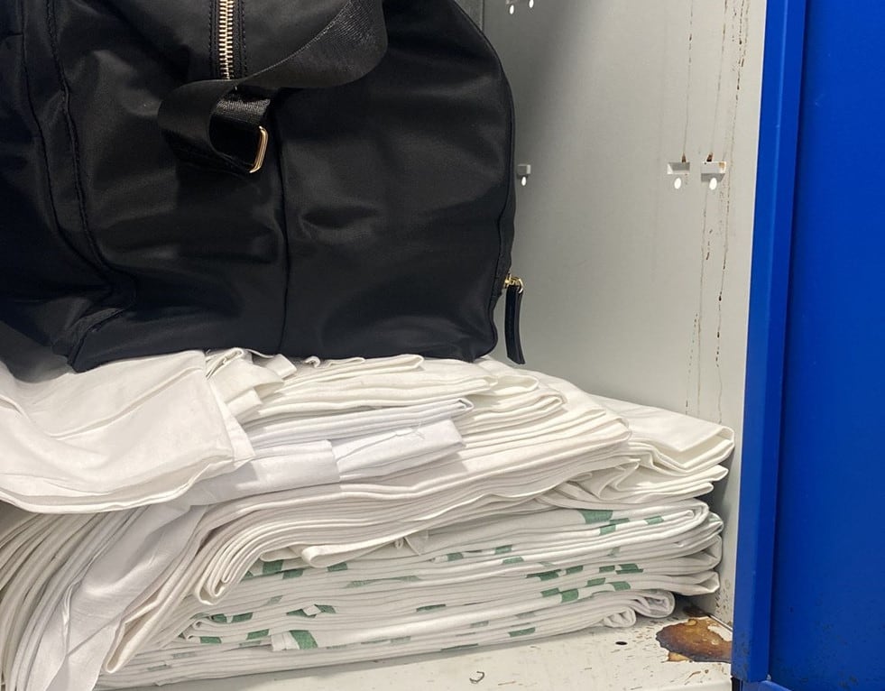 Cucarachas en el hospital Regional