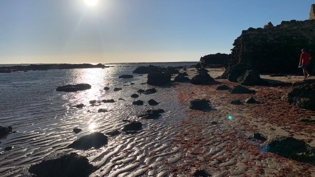 Costas invertirá 1,5 millones en recuperar la muralla de Santa Catalina de El Puerto