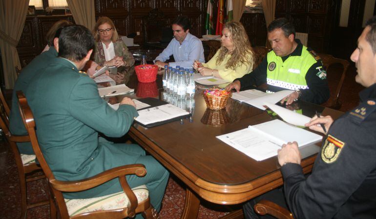 Aprobado el dispositivo de seguridad de Alharilla 2018 