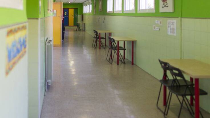 Entrevista a la presidenta de Confapa Coruña, Dolores Blanco (16/04/2020)