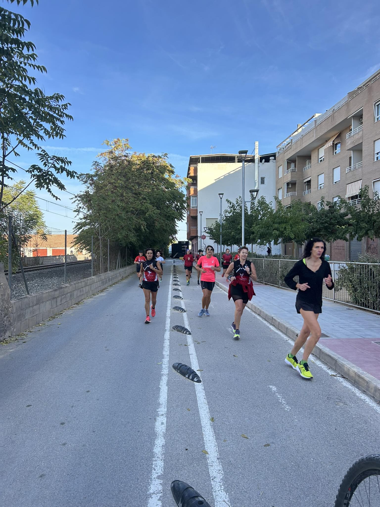 Media alternativa 2025