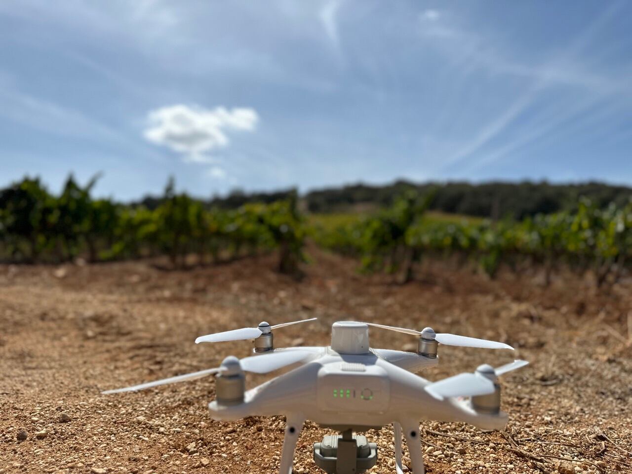 Un dron utilizado en un viñedo de Ronda