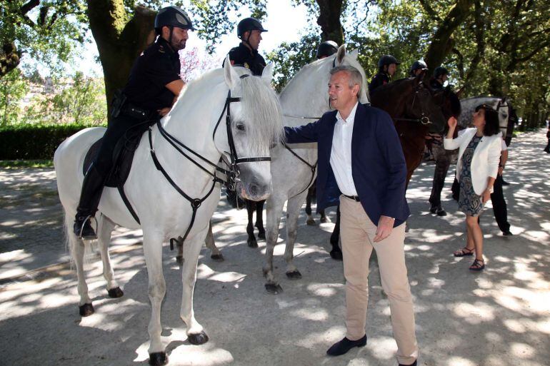 El vicepresidente de la Xunta, Alfonso Rueda, durante el acto de presentación de la &#039;Operación Lumes 2016&#039;