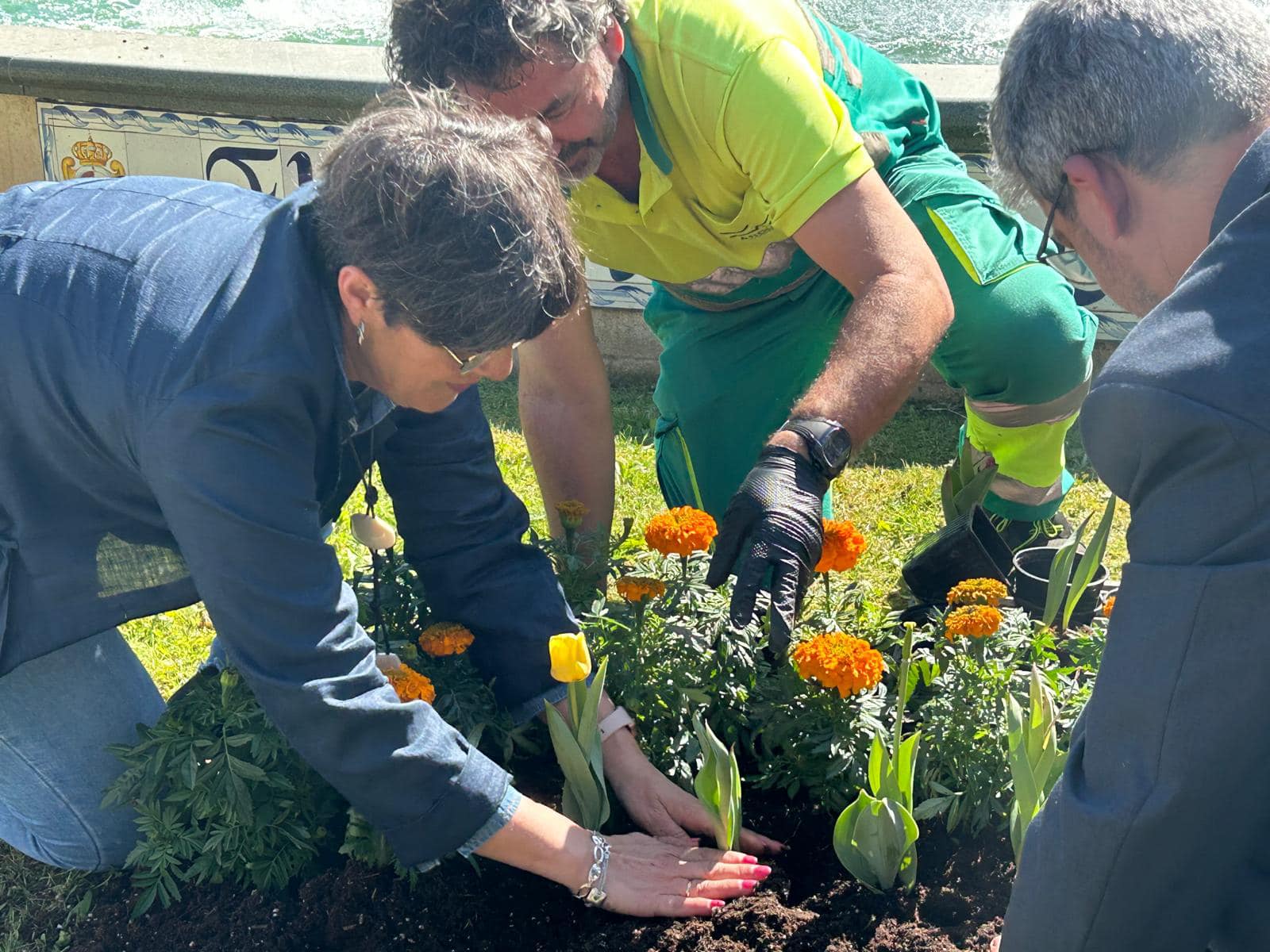 Andújar conmemora el Día Mundial del Parkinson con una plantación de tulipanes