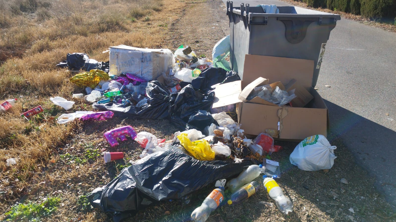 Contenedores junto al camino. Salinas