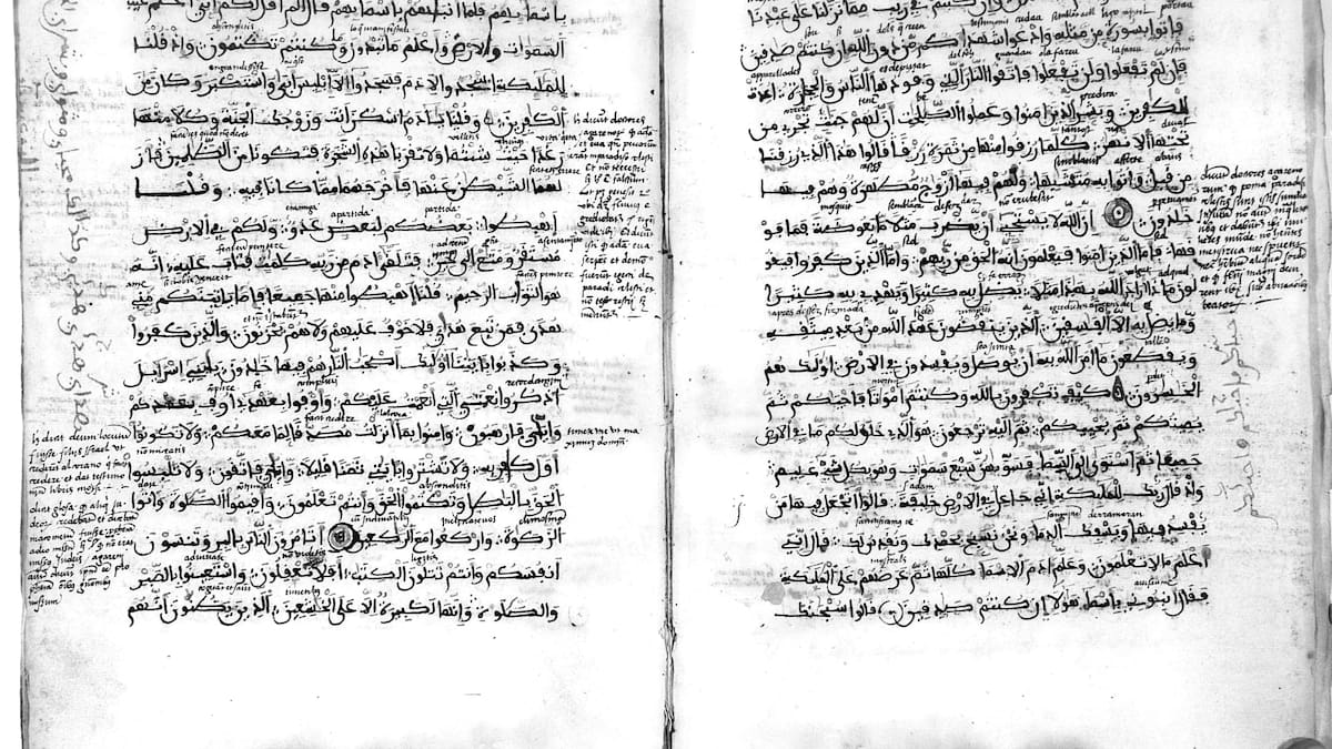 Un libro único escrito en Bellús