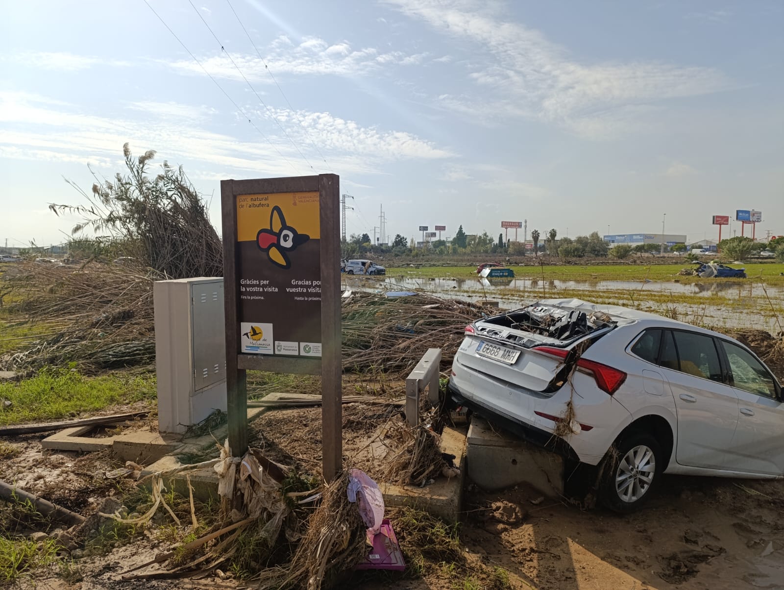 "Catástrofe medioambiental": así ha quedado el Parque Natural de l'Albufera tras el paso de la DANA por la provincia de Valencia