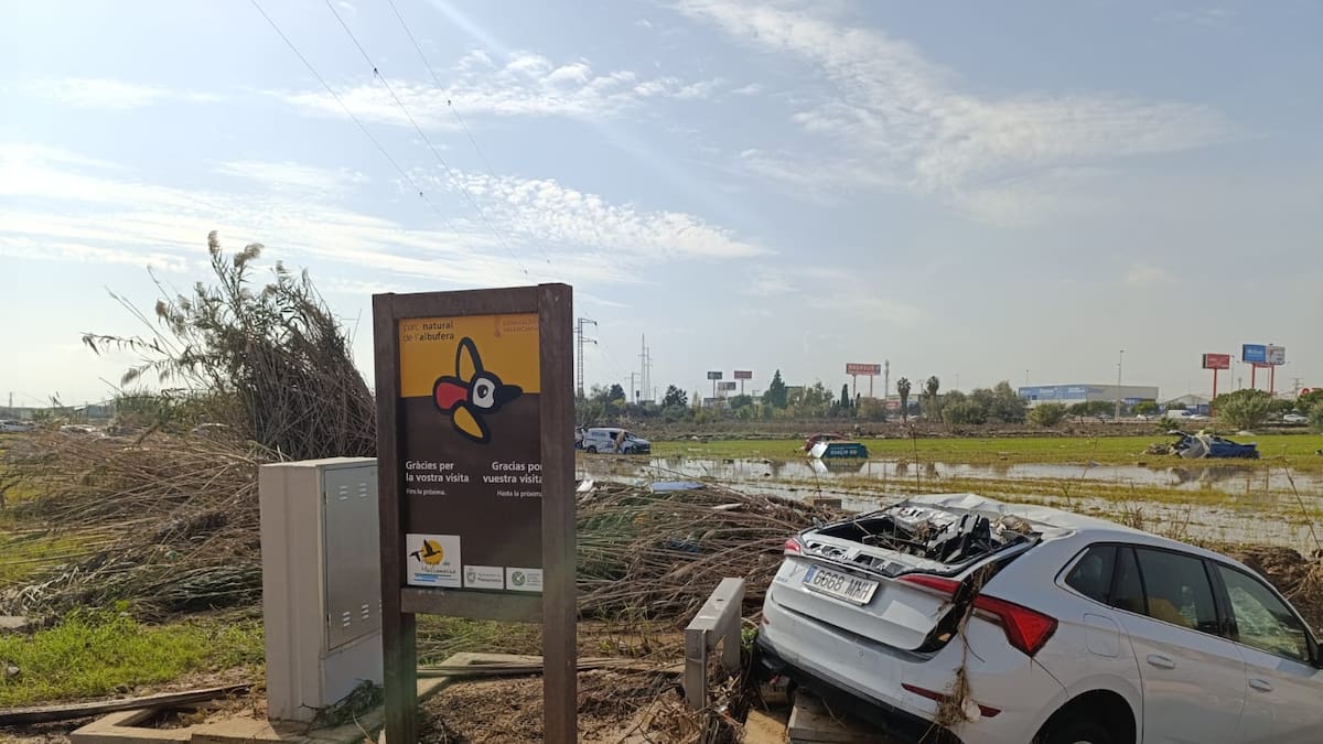 "Reconstruir un vertedero": así califica un biólogo los trabajos de limpieza de l'Albufera de València tras los daños ocasionados por la DANA (05/11/2024)