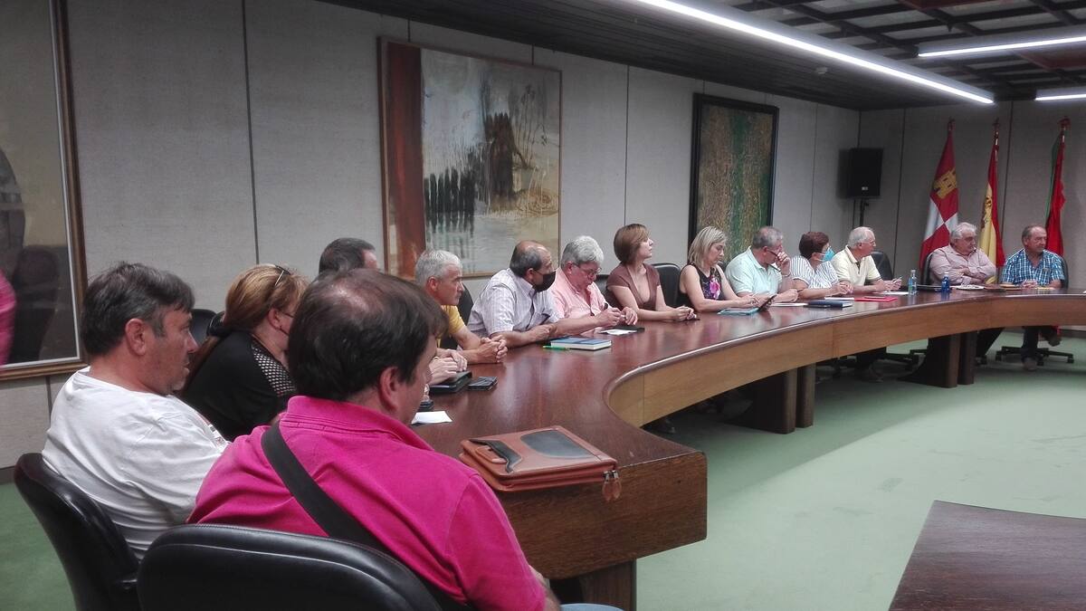 Los pinos no son tan malos