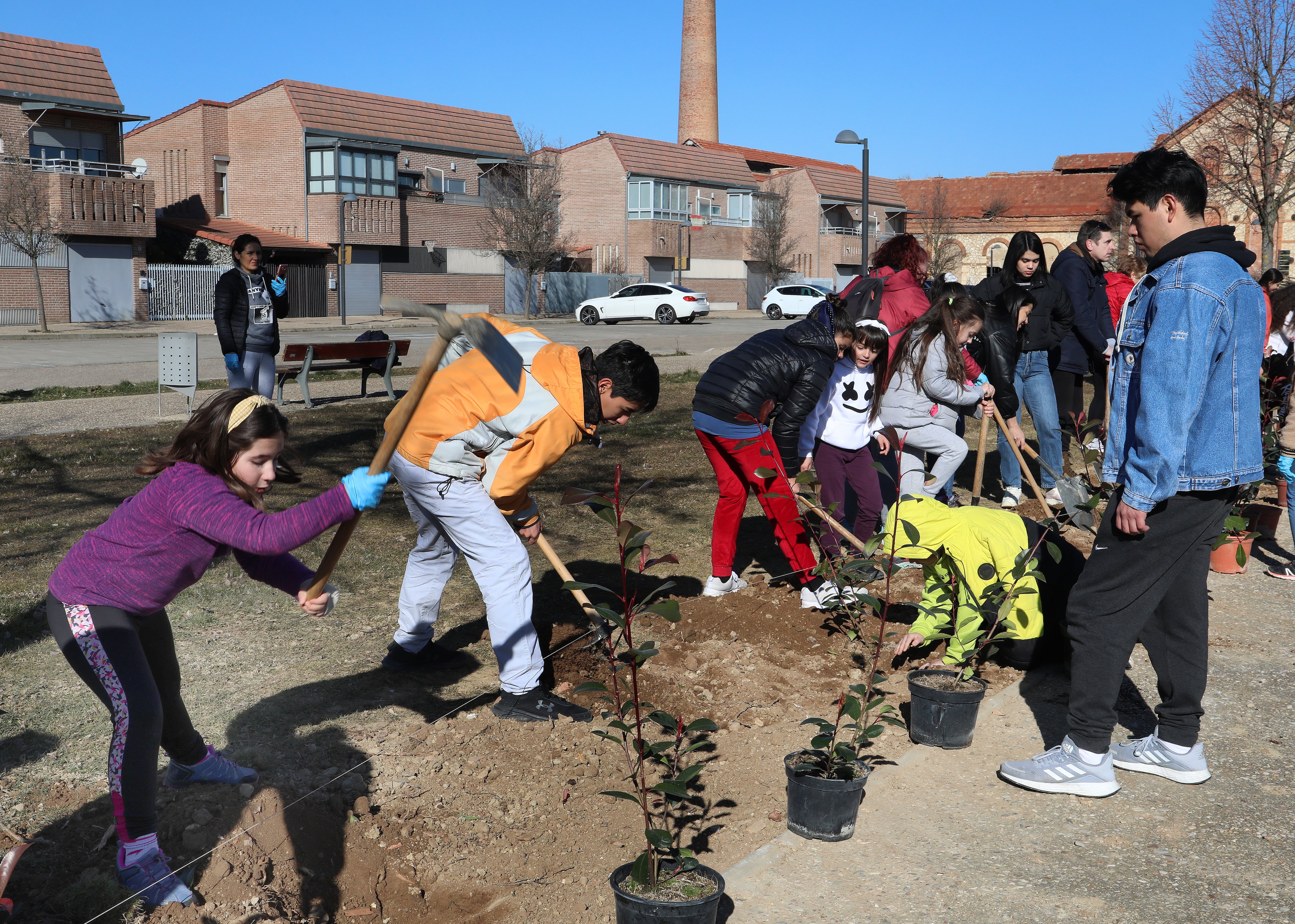 Objetivos de Desarrollo SosteniblePlantación de árboles en la urbanización los Olmilos de Villamuriel de Cerrato (Palencia)