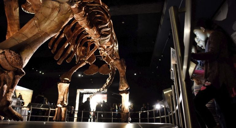 Varias personas observan el esqueleto de un Titanosaurio de 37,2 metros de alto que forma parte de la colección permanente del Museo de Historia Natural de Nueva York, Estados Unidos.