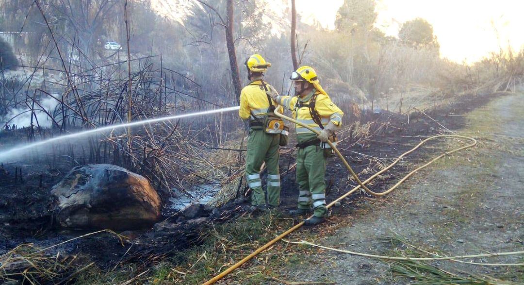 Agentes medioambientales y brigadas forestales refuerzan durante el verano las tareas para la prevención de incendios